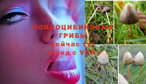 кокс Володарск