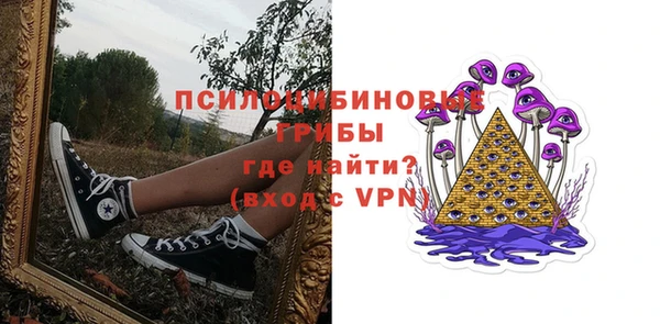 spice Верхний Тагил