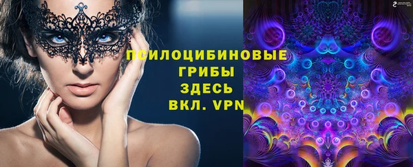 PSILOCYBIN Волоколамск