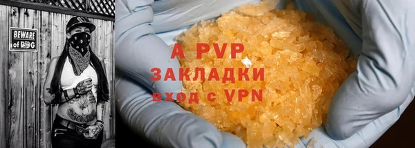 ПСИЛОЦИБИНОВЫЕ ГРИБЫ Волосово