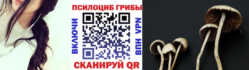 Псилоцибиновые грибы прущие грибы закладка Липки